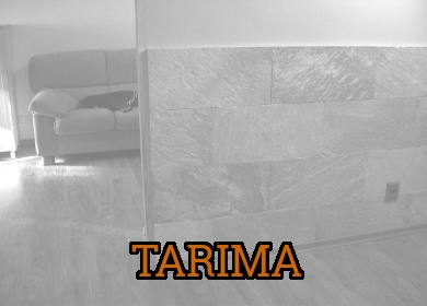 Tarima
